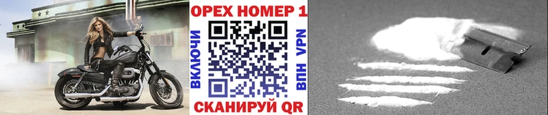 цена   Чернушка  COCAIN Эквадор 