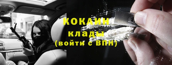 индика Горно-Алтайск