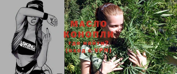 индика Горно-Алтайск