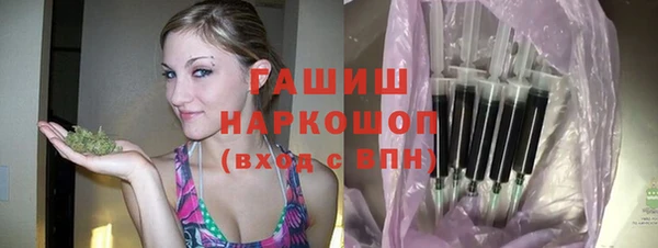 индика Горно-Алтайск
