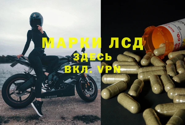 индика Горно-Алтайск