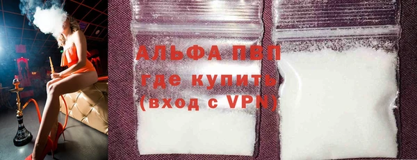 индика Горно-Алтайск