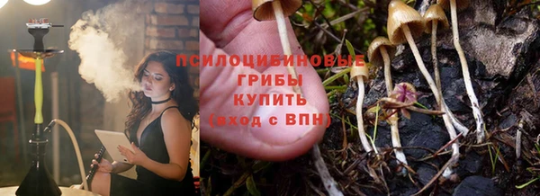 индика Горно-Алтайск