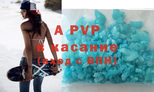 индика Горно-Алтайск