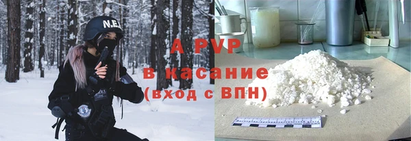 индика Горно-Алтайск